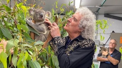 Сыграл для коалы: гитарист группы Queen растрогал сеть (Фото, Видео)