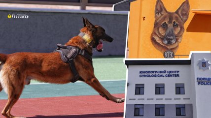 Кінологічний центр під Києвом