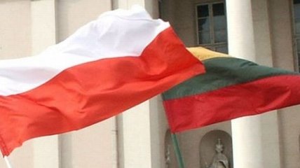 Польша и Литва запустили энергомост
