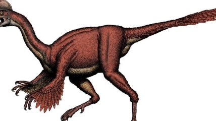 Ученые нашли останки динозавра, которому 66 млн лет
