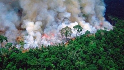 Страны G7 могут помочь в тушении пожаров в Амазонии