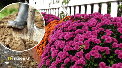 Как подкапывать цветы