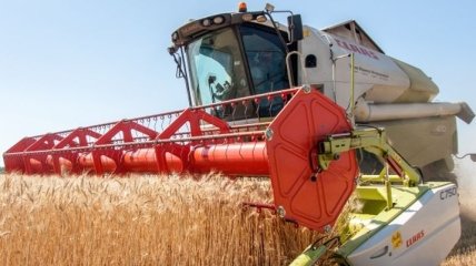 Украинские аграрии намолотили рекордное количество зерна 