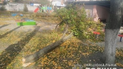 Дерево упало на детскую площадку во время дневной прогулки