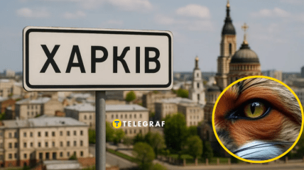 Необычное животное заметили в городе