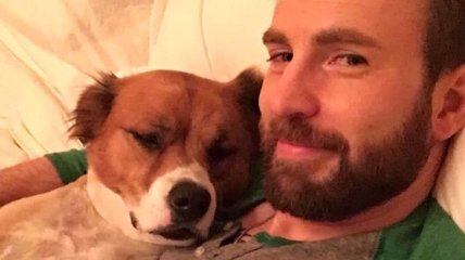 Крис Эванс на карантине оконфузился со своей собакой (Фото, Видео)