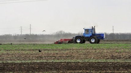 Весенне-полевые работы в Украине возобновлены  