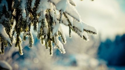 Штормовой ветер и морозы не отступят: синоптик огорчила прогнозом на 8 декабря