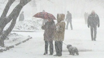 В Украине сегодня снег, метели и гололедица