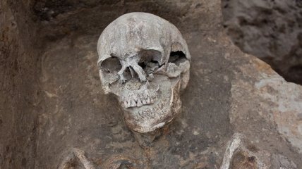 Археологи обнаружили останки ранее неизвестных предков людей
