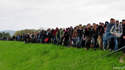 Нидерланды сообщают о большом потоке беженцев