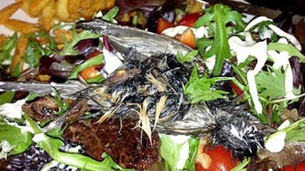 Супруги нашли в своем салате мертвую птицу