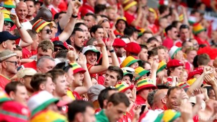 Фанат сборной Уэльса позвал свою девушку замуж на Евро-2016 (Видео)