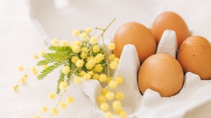 Почему яйца нельзя хранить в холодильнике?