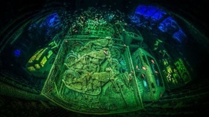 Чарующие снимки от победителей конкурса подводной фотографии 2018 (Фото)