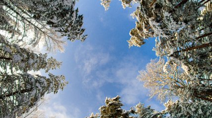 Зимнее солнцестояние 2024 - что нельзя делать 21 декабря