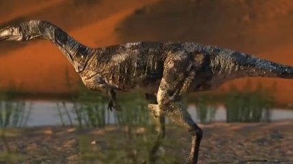 В Бразилии археологи обнаружили скелет нового вида динозавра (Видео)
