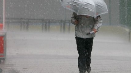В Швеции лето ставит "дождливые" рекорды 