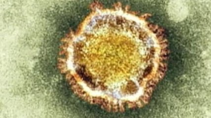 ВОЗ: Смертельный коронавирус распространяется по всей Европе