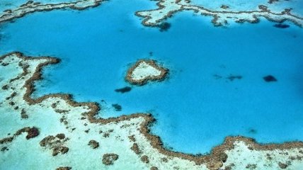 Большой Барьерный риф может исчезнуть? Что заявили в ЮНЕСКО