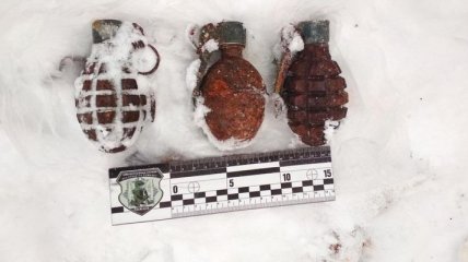 Во Львове в лесопарковой зоне обнаружили гранаты времен Второй мировой войны