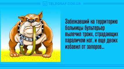 Не скучайте в эту среду: вечерние анекдоты 27 февраля