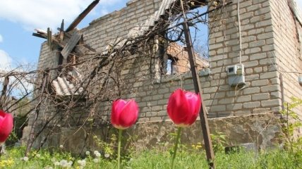 ООН: На Донбассе рекордное число погибших за год