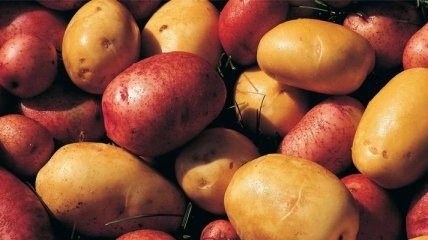 Картофель – доступный источник калия