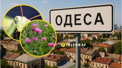 Летучие гости мигрируют по Украине