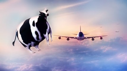 Безпілотники жартома називають "літаючими коровами", — фото ілюстративне