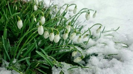 В Україні боротиметься весна та зима