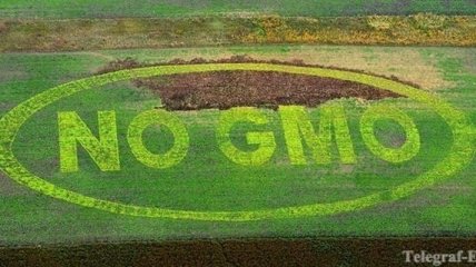 Минагрополитики: Украине рано либерализовать ГМО