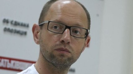 Яценюк: Генпрокуратура проводит с Власенко следственные действия 