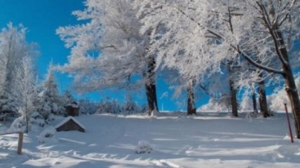 На территории Закарпатской области ожидается сильный мокрый снег