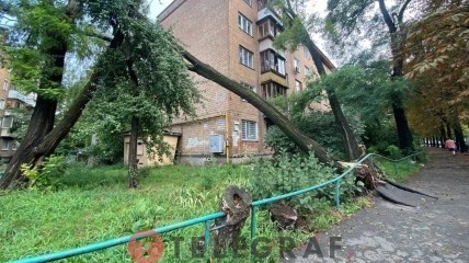 Наслідки штормового вітру в Києві.