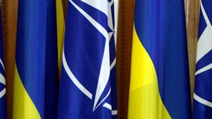 В НАТО заявили о полной поддержке суверенитета Украины