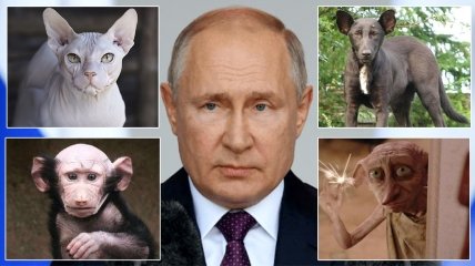 У російського диктатора багато схожого з тваринами і не тільки