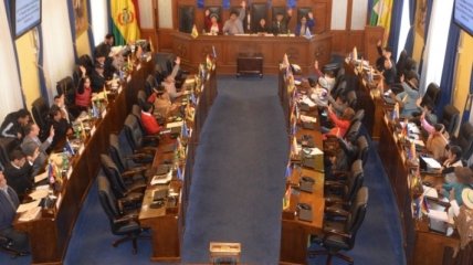 Сенат Боливии проголосовал за проведение всеобщих выборов