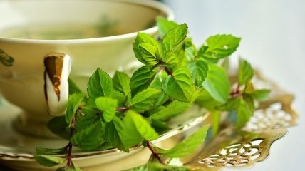 Медики объяснили, почему зеленый чай может навредить печени и почкам