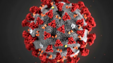 Завезли из России: в Украине впервые обнаружили самый опасный штамм коронавируса