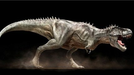 Ученые определили шансы человека убежать от тираннозавра
