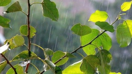 Прогноз погоды в Украине 11 июля: местами ожидаются дожди с грозами 
