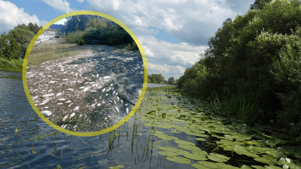 Джерело забруднення річки Сейм невідоме