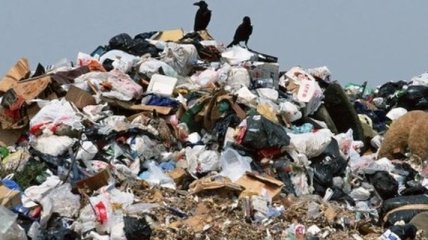 Во Львове нашли гигантскую несанкционированную свалку мусора (Видео)