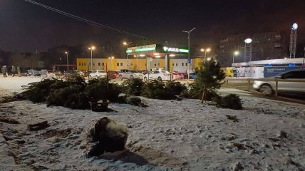 Брошенные елки в Днепре