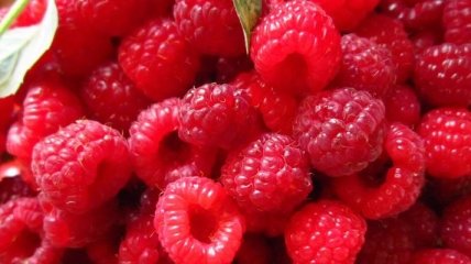 Как "красные" ягоды влияют на организм человека
