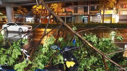 Тайфун на Тайване оставил 2 млн домов без света