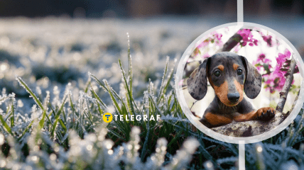 Второй месяц весны не баловал украинцев