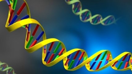 Последовательность ДНК определили с помощью нанопор