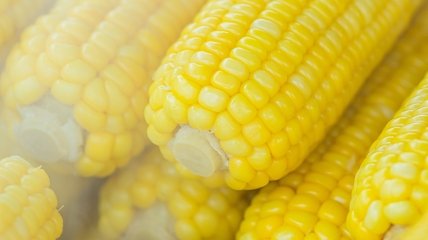Як правильно приготувати кукурудзу?